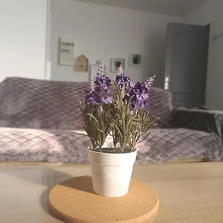 Paisible Bien Situe Au Rez De Chaussee. Apartment Denain