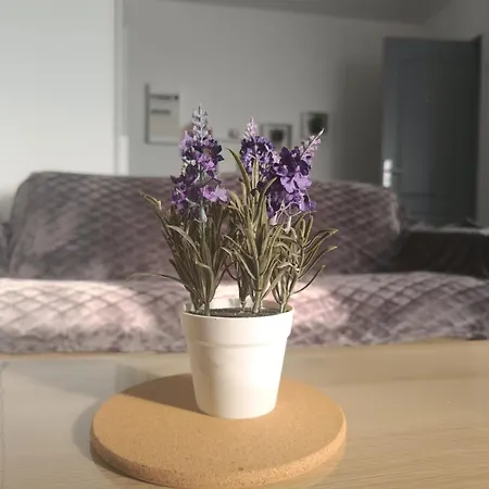 Paisible Bien Situe Au Rez De Chaussee. Apartment Denain